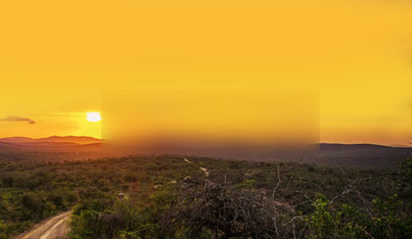 中东非洲背景图